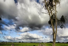 天涯神贴最新预言：哪条最让你坐不住？